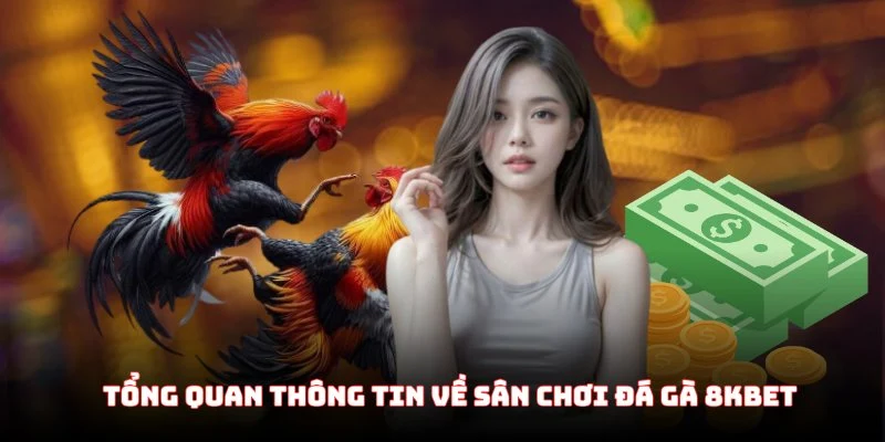 Tổng quan thông tin về sân chơi đá gà 8KBET